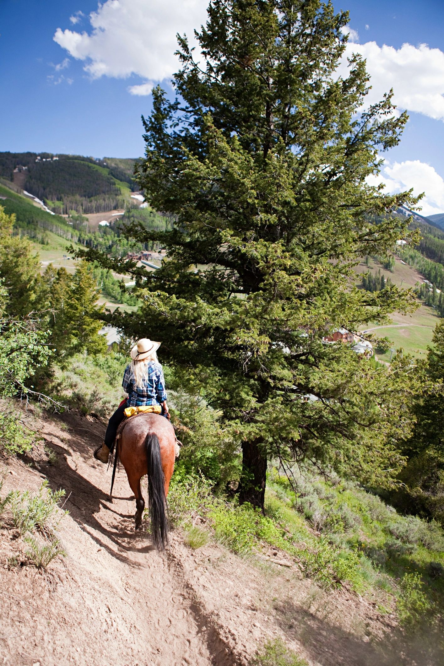 Colorado mountain horseback trail ride family