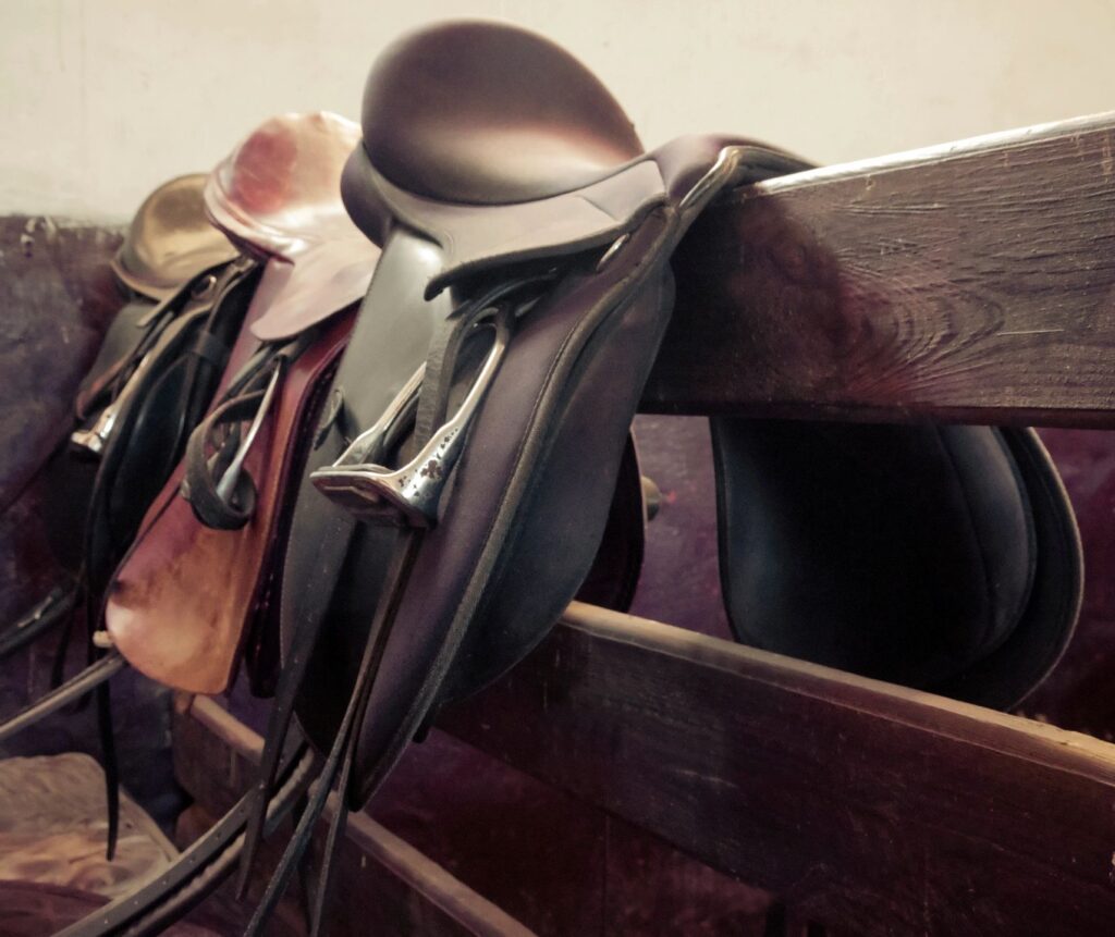 Saddles on fence